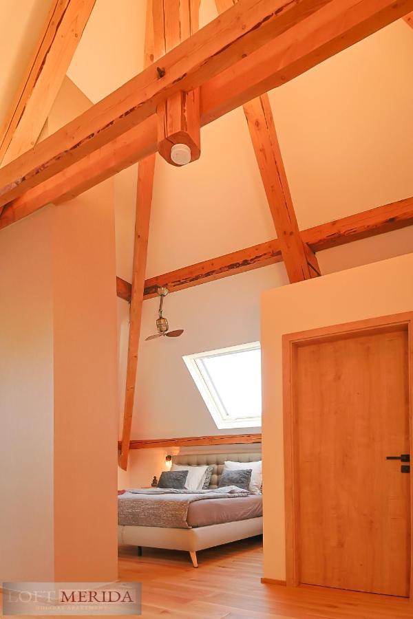Loft Merida - Designer Apartment With Large Bathtub Butgenbach Exterior photo